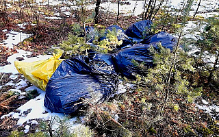 Śmieciarz ukarany najwyższym mandatem. Porzucone w lesie worki wypełnione były osłonami do kabli